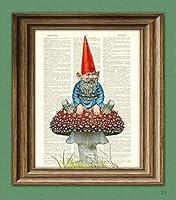 Algopix Similar Product 19 - Old Garden Gnome Chilling On a