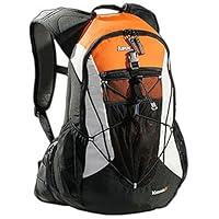 Algopix Similar Product 18 - ASPEN AspenSport Rucksack