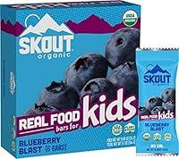 Algopix Similar Product 5 - SKOUT Organic Blueberry Blast Kids