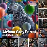 Algopix Similar Product 6 - African Grey Parrot Calendar 2025 365