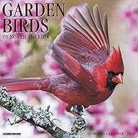 Algopix Similar Product 18 - Garden Birds 2020 Wall Calendar