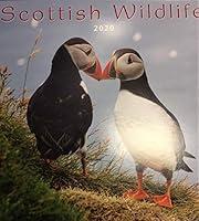 Algopix Similar Product 3 - 2020 Scottish Wildlife  Scotland