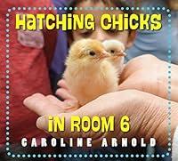 Algopix Similar Product 11 - Hatching Chicks in Room 6 Life Cycles