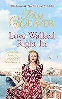 Algopix Similar Product 18 - Love Walked Right In