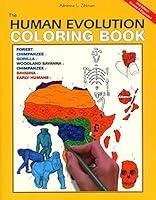 Algopix Similar Product 18 - The Human Evolution Coloring Book