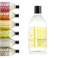 Algopix Similar Product 16 - Soak S07-6P 12oz-Pineapple Grove