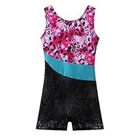 Algopix Similar Product 16 - BAOHULU Leotard for Girls Gymnastics