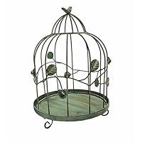 Algopix Similar Product 5 - Benzara BM164640 Metal Bird Cage for