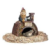 Algopix Similar Product 4 - Garden Gnome Statue  Garden Gnome Toad