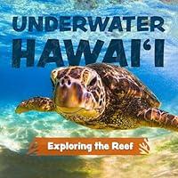 Algopix Similar Product 18 - Underwater Hawaii Exploring the Reef