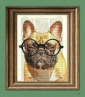 Algopix Similar Product 11 - Grouchy McPoutypants the French Bulldog