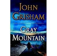 Algopix Similar Product 16 - Gray Mountain: A Novel