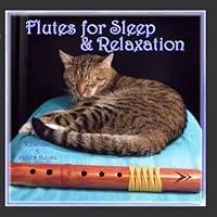 Algopix Similar Product 8 - Native American Flute for Sleep 