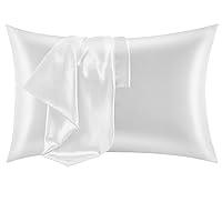 Algopix Similar Product 8 - CozyLux Silk Satin Pillowcase for Hair