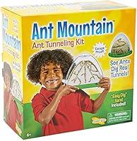 Algopix Similar Product 9 - Insect Lore Ant Farm  Two Sided Ant
