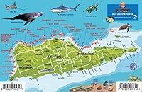 Algopix Similar Product 3 - St Croix USVI Dive Map Fish ID Virgin