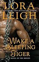 Algopix Similar Product 3 - Wake a Sleeping Tiger A Novel of the