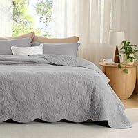 Algopix Similar Product 4 - Bedsure Twin Quilt Set  PreWashed