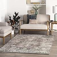 Algopix Similar Product 20 - nuLOOM Vintage Corene Flora Area Rug