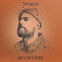 Algopix Similar Product 6 - What a Time To Be Alive (Deluxe Edition)