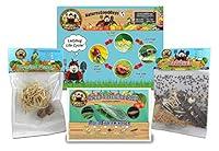 Algopix Similar Product 10 - 1500 Live Ladybugs  2 Praying Mantis
