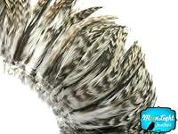 Algopix Similar Product 5 - Rooster Feathers Natural Grey