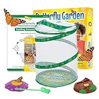 Algopix Similar Product 10 - Insect Lore Raise and Release Butterfly