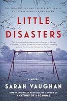 Algopix Similar Product 3 - Little Disasters: A Novel