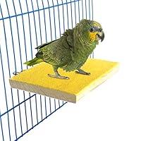 Algopix Similar Product 1 - Colorful Bird Perch Stand Platform
