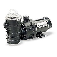 Algopix Similar Product 5 - Pentair DYNIINI2 HP Dynamo Single