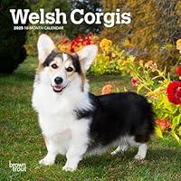 Algopix Similar Product 3 - Welsh Corgis  2025 7 x 14 Inch Monthly