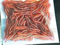 Algopix Similar Product 18 - Small 80pcs 4cm Earthworm Red Worms