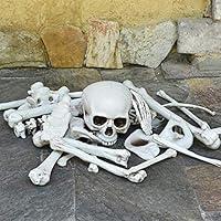 Algopix Similar Product 7 - JoshParty Halloween Skeleton Bones