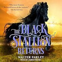 Algopix Similar Product 11 - The Black Stallion Returns Black