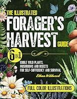 Algopix Similar Product 7 - The Illustrated Foragers Harvest