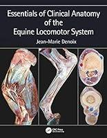Algopix Similar Product 7 - Essentials of Clinical Anatomy of the