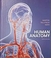 Algopix Similar Product 3 - Human Anatomy