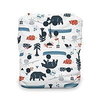 Algopix Similar Product 5 - Thirsties Snap One Size All in One