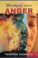 Algopix Similar Product 10 - Working with Anger
