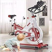 Algopix Similar Product 14 - FEFCK Exercise Bike Vertical Flywheel