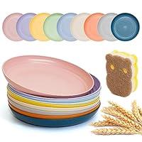 Algopix Similar Product 3 - DAPIPIK 9 Pieces 9 Inch Plastic plates