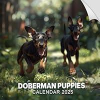 Algopix Similar Product 20 - Doberman Puppies Calendar 2025 365