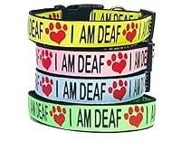 Algopix Similar Product 1 - DEAF DOGI AM DEAF Dog Collar