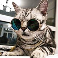 Algopix Similar Product 18 - Coolrunner Cute and Funny Pet