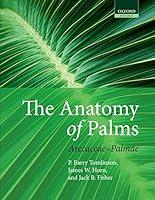 Algopix Similar Product 18 - The Anatomy of Palms: Arecaceae - Palmae