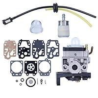 Algopix Similar Product 19 - HAISHINE Carburetor Carb Rebuild Repair