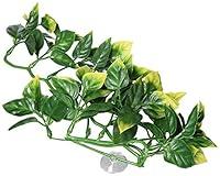 Algopix Similar Product 4 - Exo Terra Plastic Terrarium Plant
