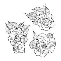 Algopix Similar Product 12 - Spellbinders Stamp Set Peonies Bundle