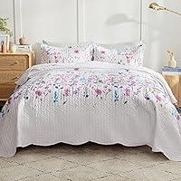 Algopix Similar Product 15 - Bedsure Summer Quilt Sets Queen Size 