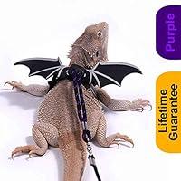 Algopix Similar Product 14 - WATFOON Adjustable Bearded Dragon